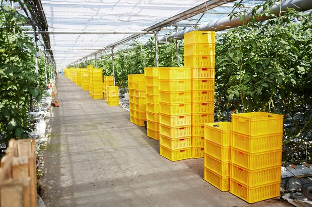 Stockage