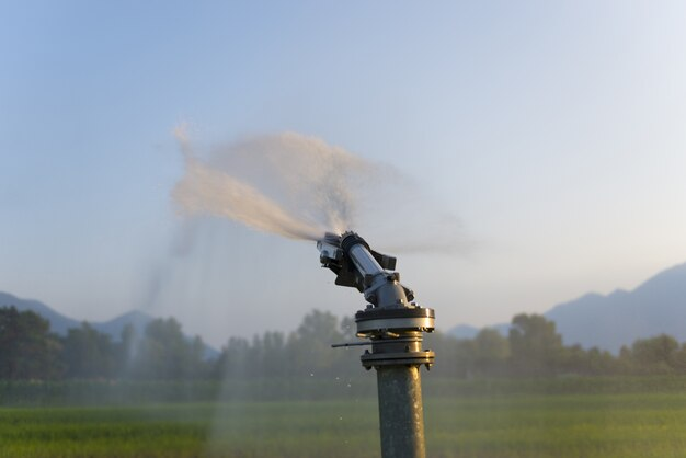 Irrigation